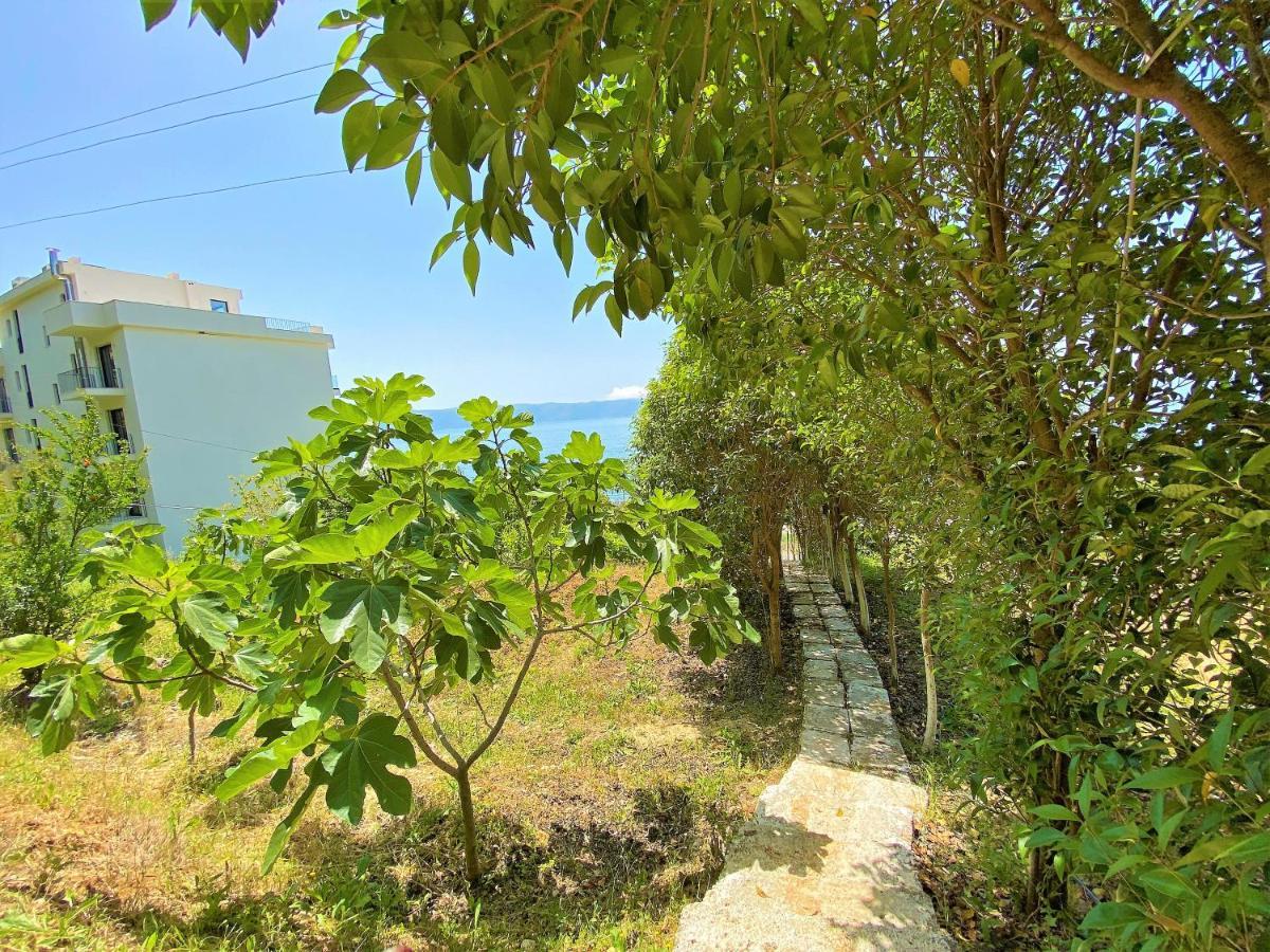 Ramo'S Cozy Beachside Haven With Panoramic Views - 2Nd Vlorë 외부 사진