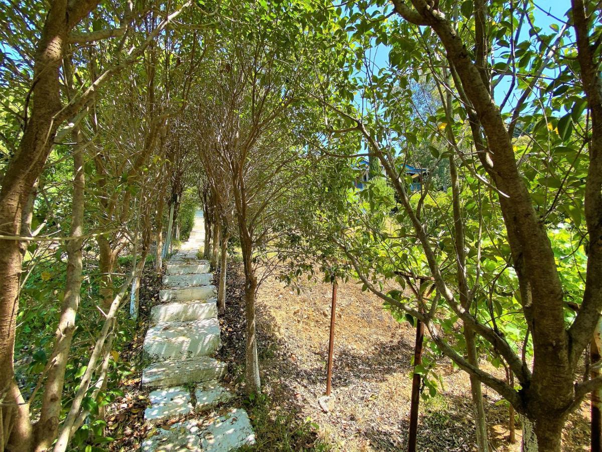 Ramo'S Cozy Beachside Haven With Panoramic Views - 2Nd Vlorë 외부 사진